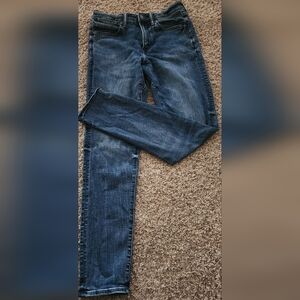 American Eagle Outfitters Dark Blue Skinny Jeans